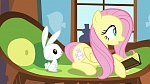 Image Mon Petit Poney : The Hooffields and McColts