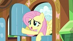 Image Mon Petit Poney : The Hooffields and McColts