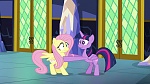Image Mon Petit Poney : The Hooffields and McColts
