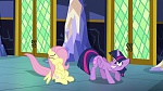 Image Mon Petit Poney : The Hooffields and McColts