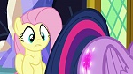 Image Mon Petit Poney : The Hooffields and McColts
