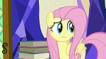 Image Mon Petit Poney : The Hooffields and McColts