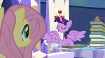 Image Mon Petit Poney : The Hooffields and McColts