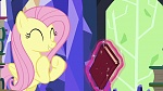 Image Mon Petit Poney : The Hooffields and McColts