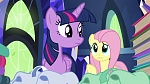 Image Mon Petit Poney : The Hooffields and McColts