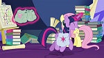 Image Mon Petit Poney : The Hooffields and McColts