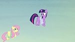 Image Mon Petit Poney : The Hooffields and McColts