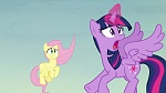 Image Mon Petit Poney : The Hooffields and McColts