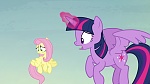 Image Mon Petit Poney : The Hooffields and McColts