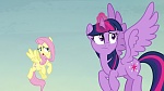 Image Mon Petit Poney : The Hooffields and McColts