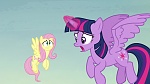 Image Mon Petit Poney : The Hooffields and McColts