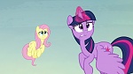 Image Mon Petit Poney : The Hooffields and McColts
