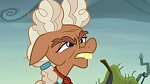 Image Mon Petit Poney : The Hooffields and McColts