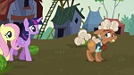 Image Mon Petit Poney : The Hooffields and McColts