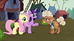 Image Mon Petit Poney : The Hooffields and McColts