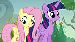 Image Mon Petit Poney : The Hooffields and McColts