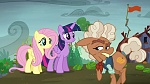 Image Mon Petit Poney : The Hooffields and McColts
