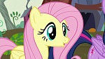 Image Mon Petit Poney : The Hooffields and McColts