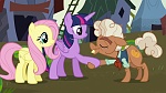 Image Mon Petit Poney : The Hooffields and McColts