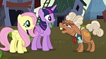 Image Mon Petit Poney : The Hooffields and McColts