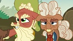 Image Mon Petit Poney : The Hooffields and McColts