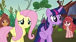 Image Mon Petit Poney : The Hooffields and McColts