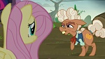 Image Mon Petit Poney : The Hooffields and McColts
