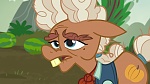 Image Mon Petit Poney : The Hooffields and McColts