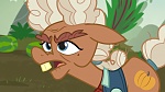 Image Mon Petit Poney : The Hooffields and McColts