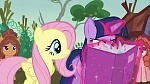 Image Mon Petit Poney : The Hooffields and McColts