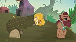 Image Mon Petit Poney : The Hooffields and McColts