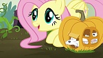 Image Mon Petit Poney : The Hooffields and McColts