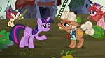 Image Mon Petit Poney : The Hooffields and McColts