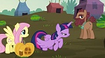 Image Mon Petit Poney : The Hooffields and McColts