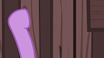 Image Mon Petit Poney : The Hooffields and McColts