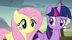 Image Mon Petit Poney : The Hooffields and McColts