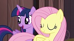 Image Mon Petit Poney : The Hooffields and McColts
