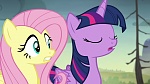 Image Mon Petit Poney : The Hooffields and McColts