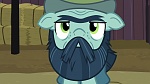 Image Mon Petit Poney : The Hooffields and McColts