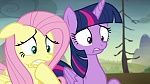 Image Mon Petit Poney : The Hooffields and McColts