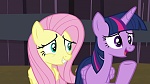 Image Mon Petit Poney : The Hooffields and McColts