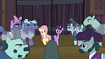 Image Mon Petit Poney : The Hooffields and McColts