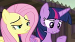 Image Mon Petit Poney : The Hooffields and McColts