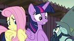 Image Mon Petit Poney : The Hooffields and McColts