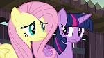 Image Mon Petit Poney : The Hooffields and McColts