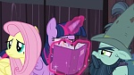 Image Mon Petit Poney : The Hooffields and McColts
