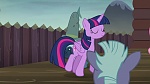 Image Mon Petit Poney : The Hooffields and McColts