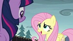 Image Mon Petit Poney : The Hooffields and McColts