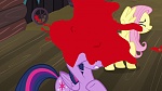 Image Mon Petit Poney : The Hooffields and McColts