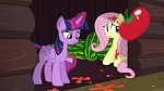 Image Mon Petit Poney : The Hooffields and McColts